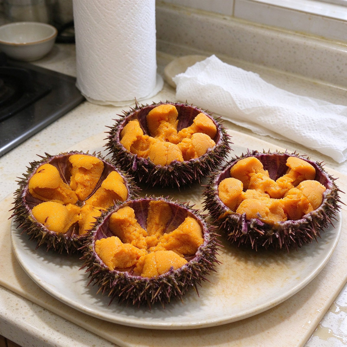 Fresh Sea Urchin Roe In Shell